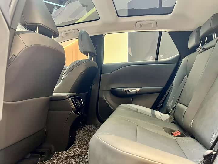 Фото 9 - Lexus RZ