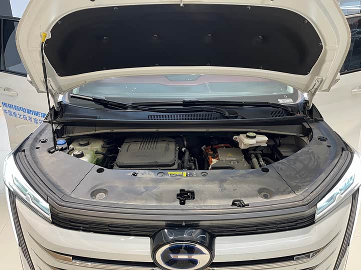 Фото 25 - GAC Trumpchi E9