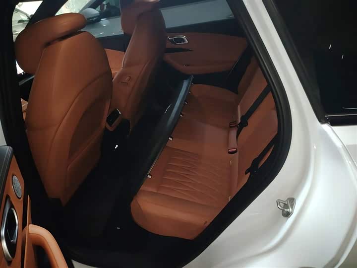 Фото 17 - Hozon L