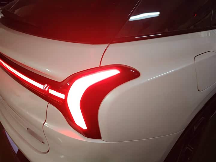 Фото 8 - Hozon L