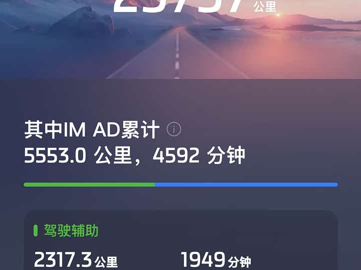 Фото 17 - IM motors LS7