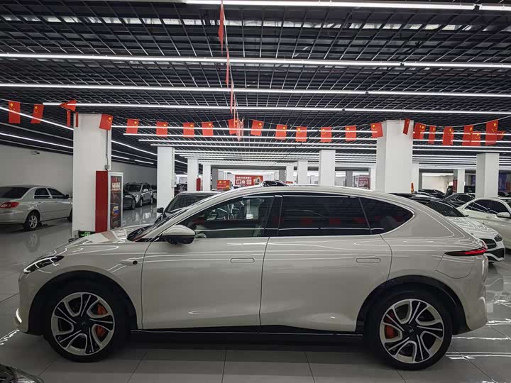 Фото 4 - IM motors LS7