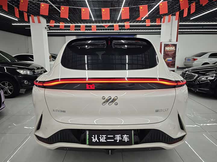 Фото 5 - IM motors LS7