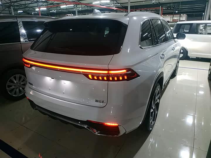 Фото 7 - Geely Monjaro