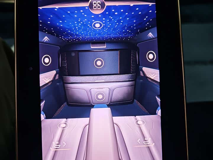 Фото 14 - Buick GL8 Century