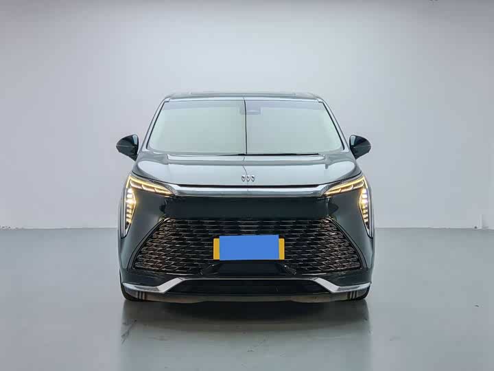 Фото 2 - Buick GL8 Century