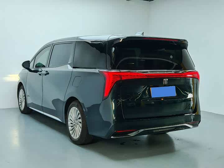 Фото 4 - Buick GL8 Century