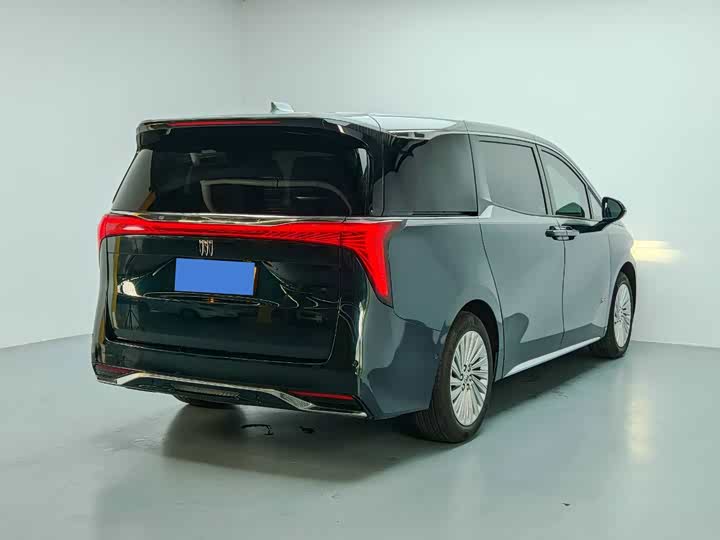 Фото 6 - Buick GL8 Century