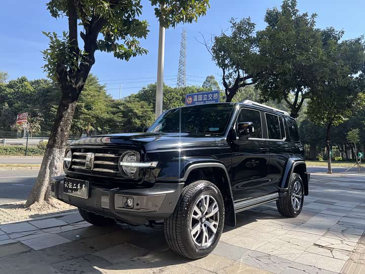 Фото 1 - Tank 300