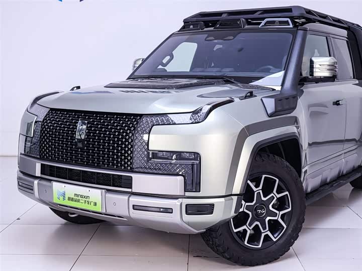 Фото 3 - BYD Yangwang U8