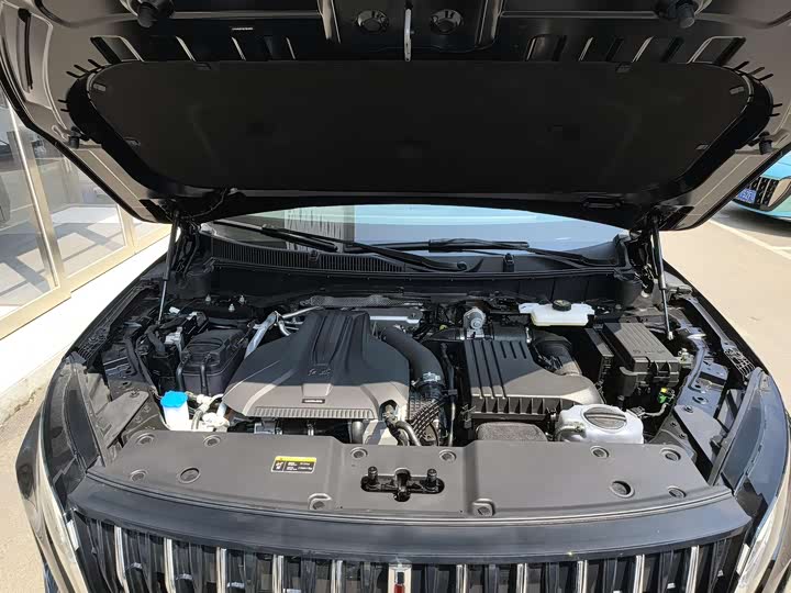 Фото 3 - Hongqi HS7 Hybrid