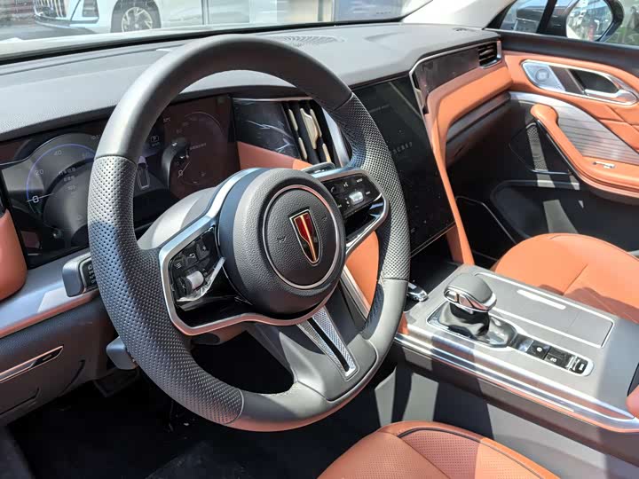 Фото 5 - Hongqi HS7 Hybrid