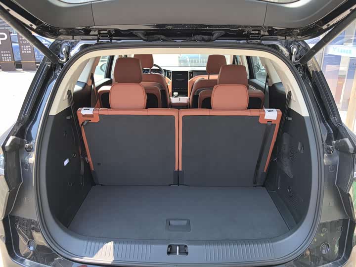 Фото 8 - Hongqi HS7 Hybrid