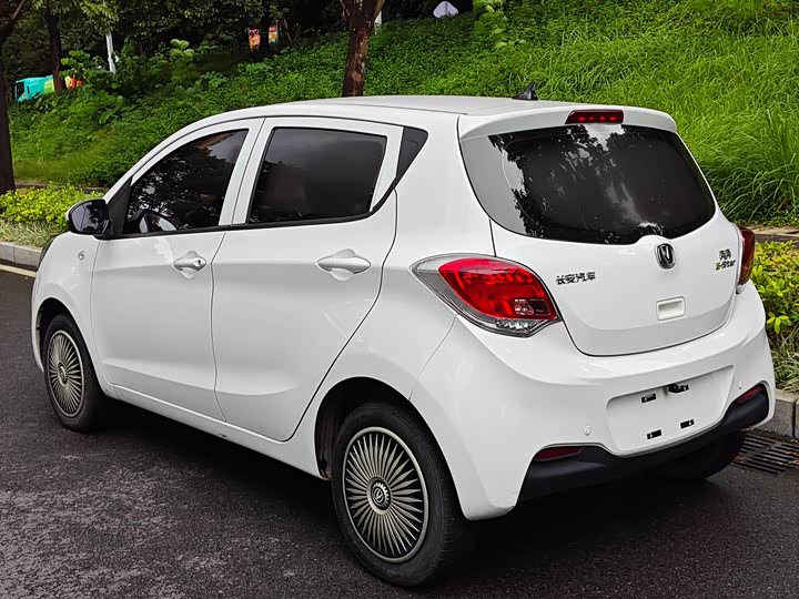 Фото 13 - Changan BenBen E-Star