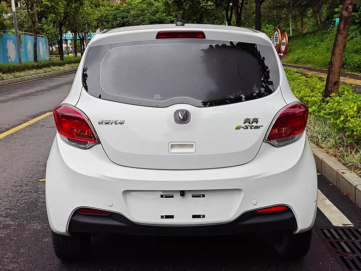 Фото 15 - Changan BenBen E-Star