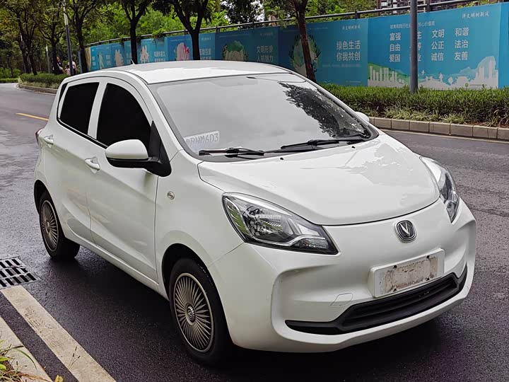 Фото 2 - Changan BenBen E-Star