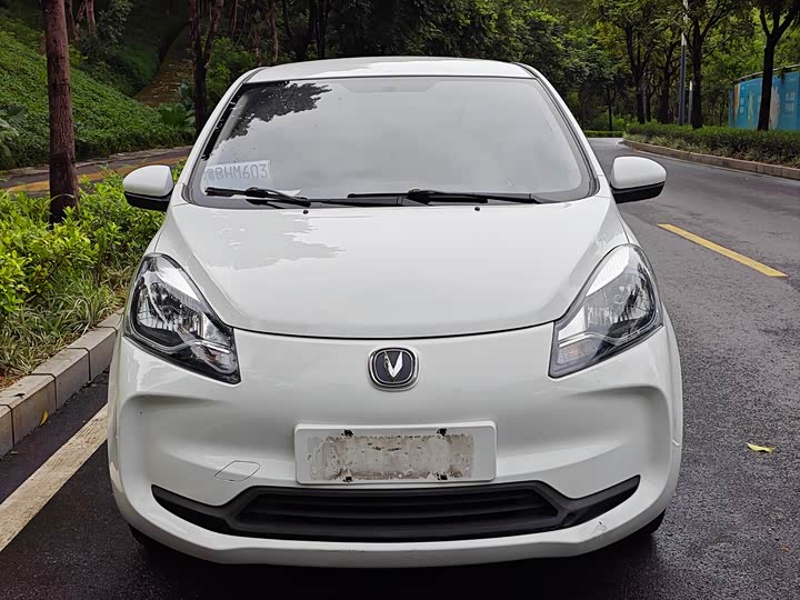 Фото 3 - Changan BenBen E-Star