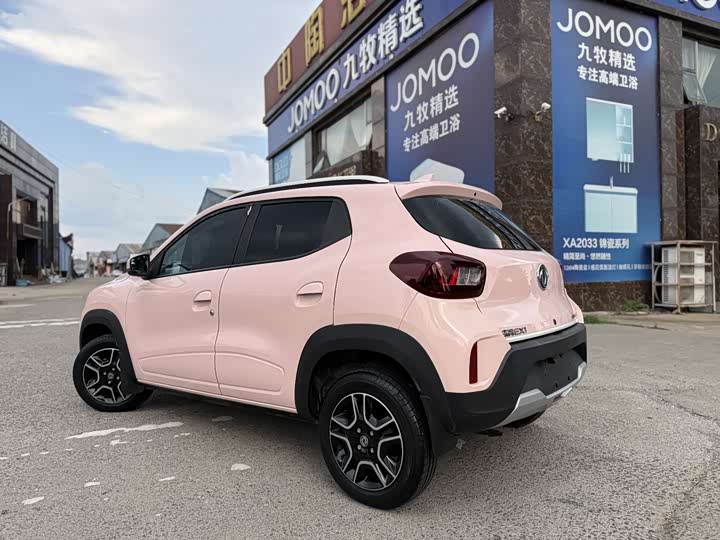 Фото 6 - Dongfeng Nammi Nano EX1