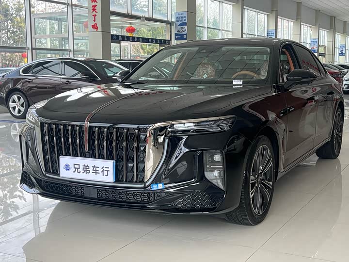 Фото 1 - Hongqi H9