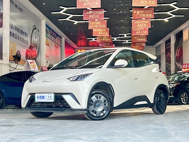 Фото 2 - BYD Seagull