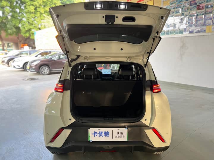 Фото 23 - BYD Seagull