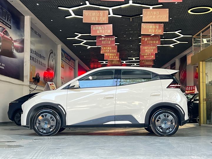 Фото 4 - BYD Seagull