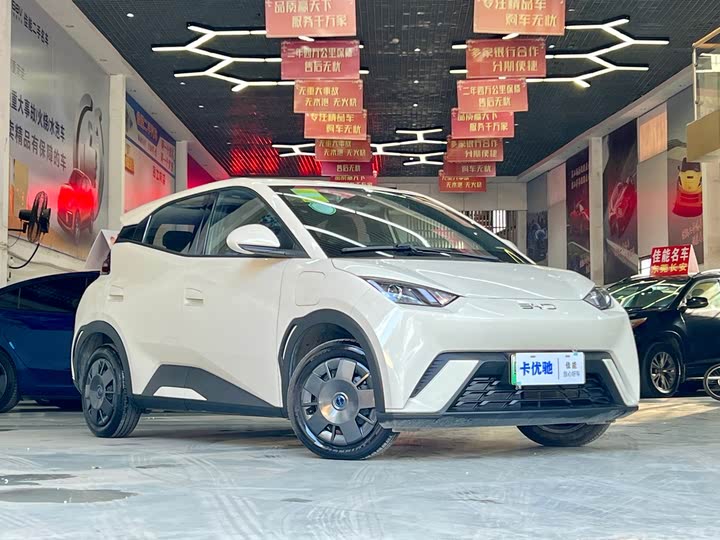 Фото 7 - BYD Seagull