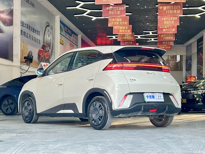 Фото 8 - BYD Seagull