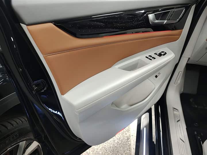 Фото 28 - Volkswagen Teramont Pro