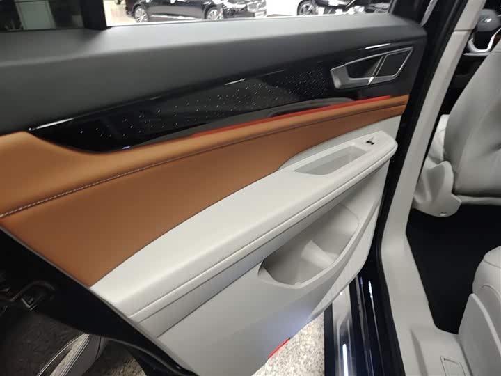 Фото 29 - Volkswagen Teramont Pro