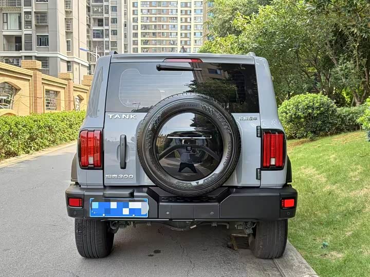 Фото 4 - Tank 300