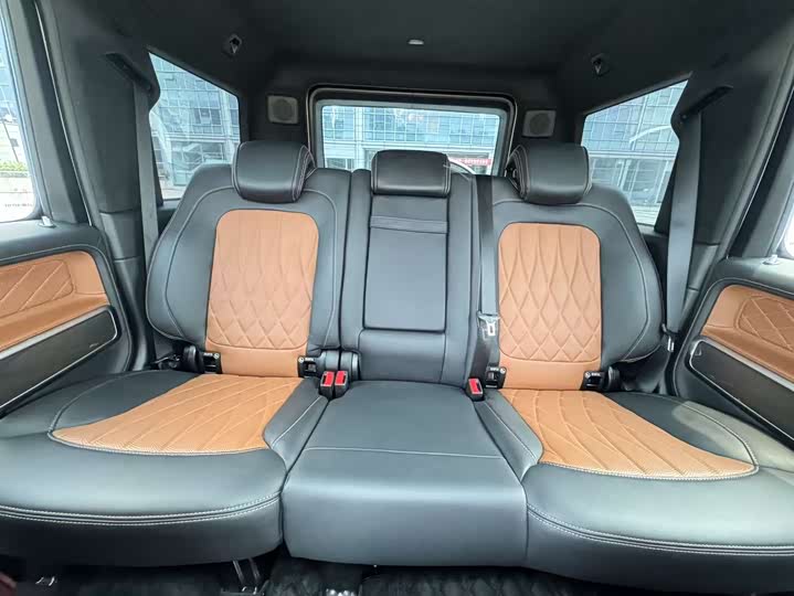 Фото 10 - Mercedes-Benz G-Class