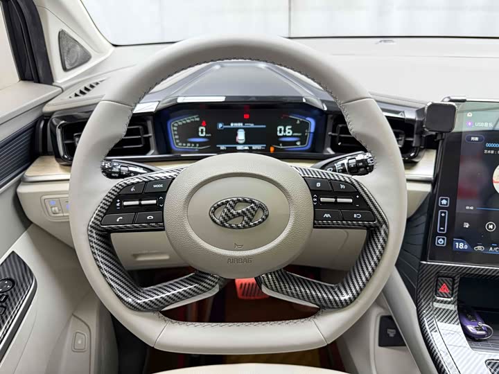 Фото 12 - Hyundai Custo