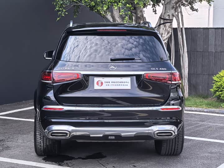 Фото 5 - Mercedes-Benz Maybach GLS