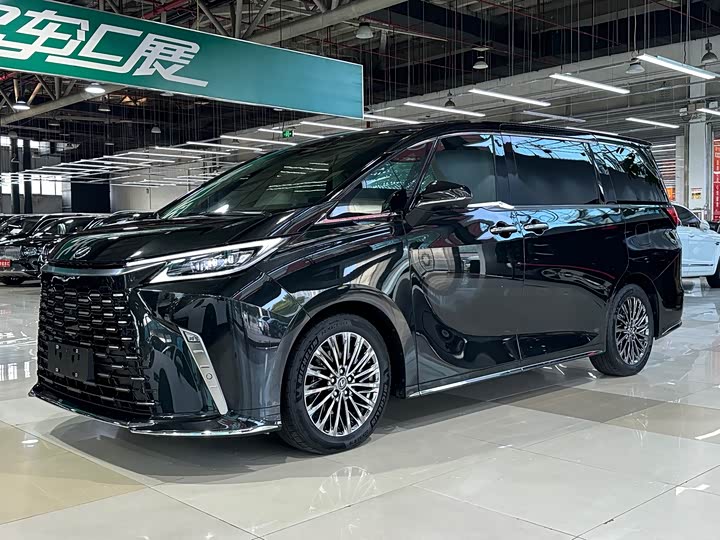 Фото 1 - Lexus LM