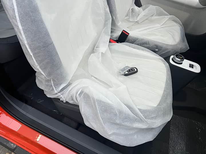 Фото 8 - Geely Galaxy Panda Mini