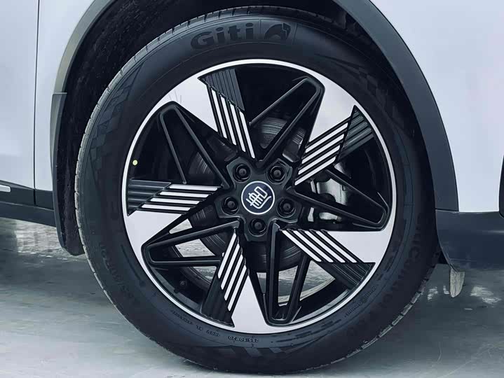 Фото 10 - BYD Tang Hybrid/EV