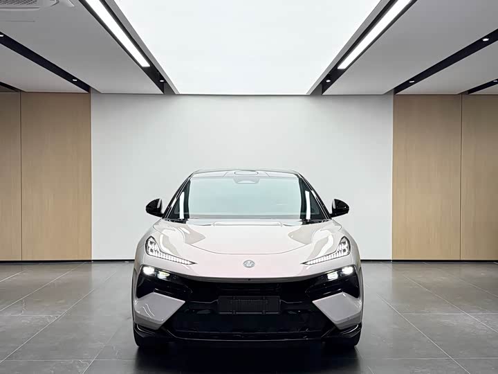 Фото 2 - Lotus Eletre