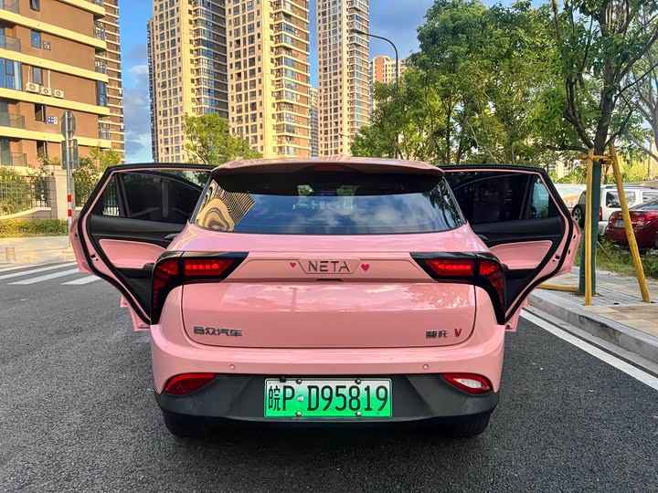 Фото 13 - Hozon V