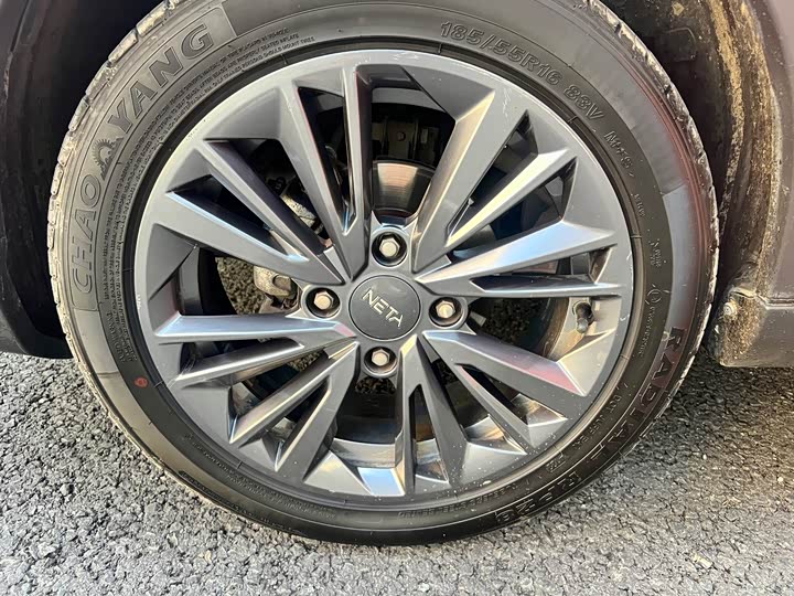 Фото 17 - Hozon V