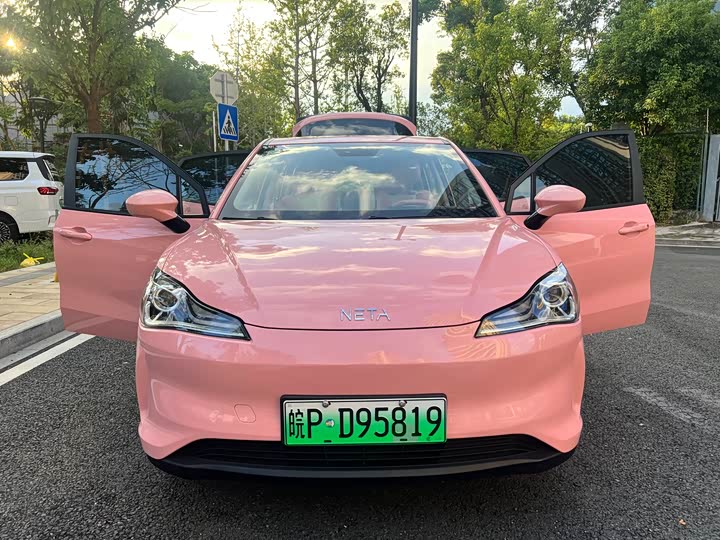 Фото 18 - Hozon V