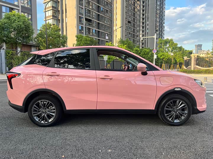 Фото 4 - Hozon V