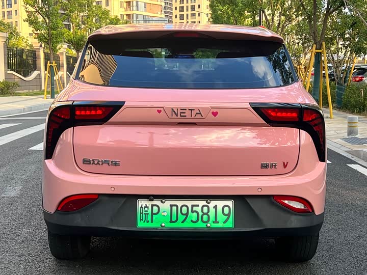 Фото 6 - Hozon V