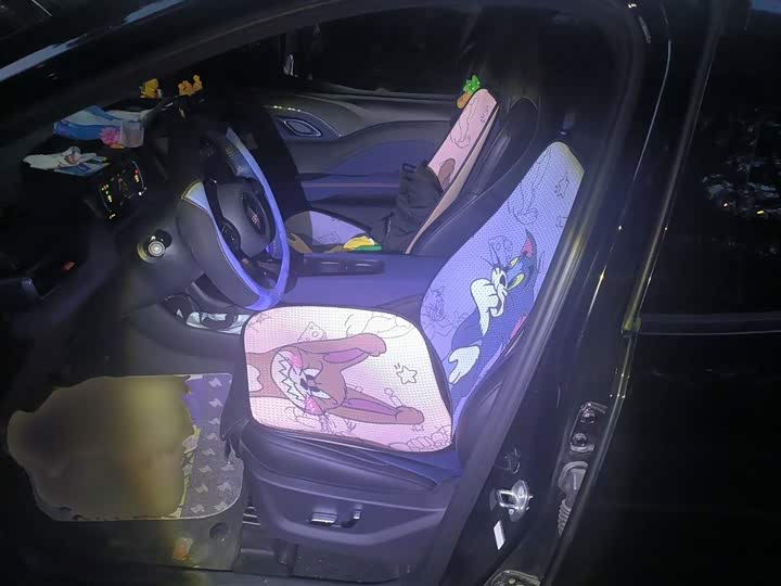 Фото 17 - BYD Seagull