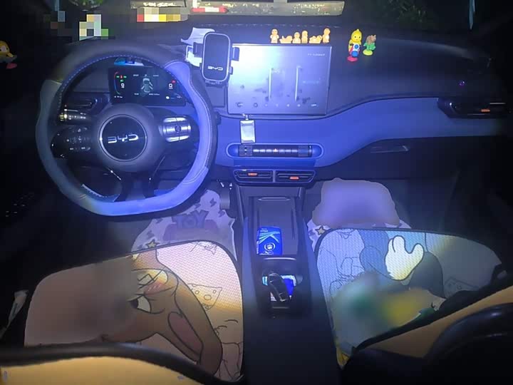 Фото 23 - BYD Seagull