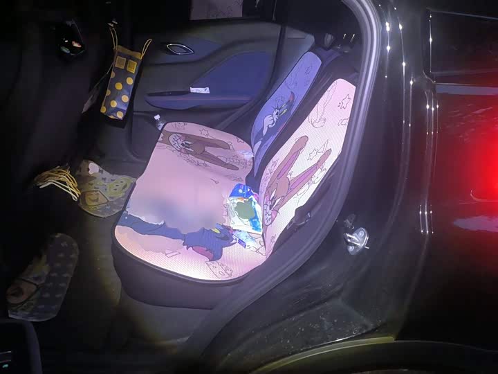 Фото 25 - BYD Seagull