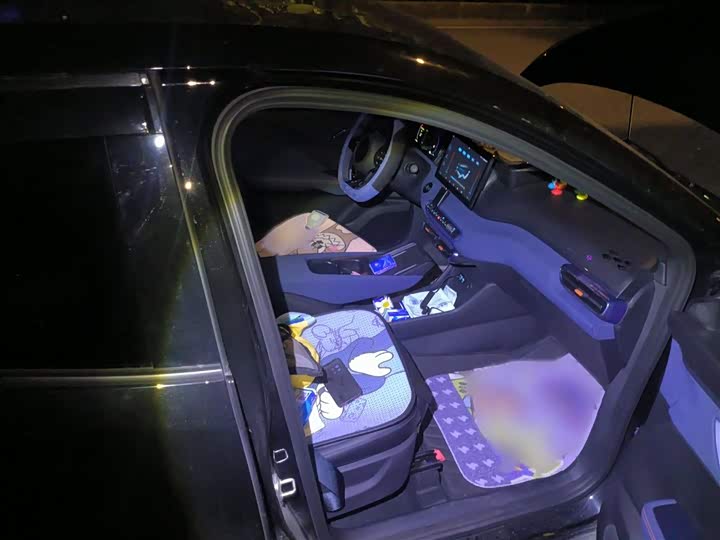 Фото 7 - BYD Seagull