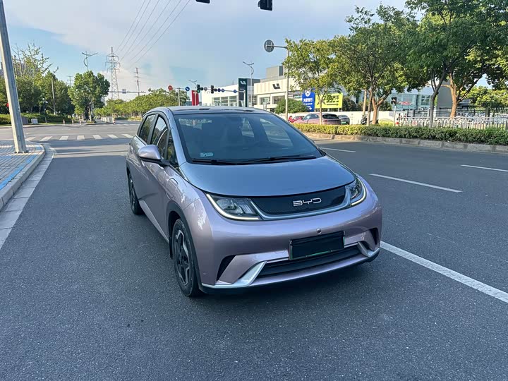 Фото 1 - BYD Dolphin