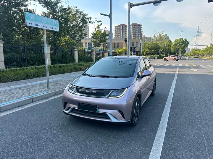 Фото 2 - BYD Dolphin