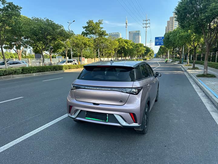 Фото 4 - BYD Dolphin